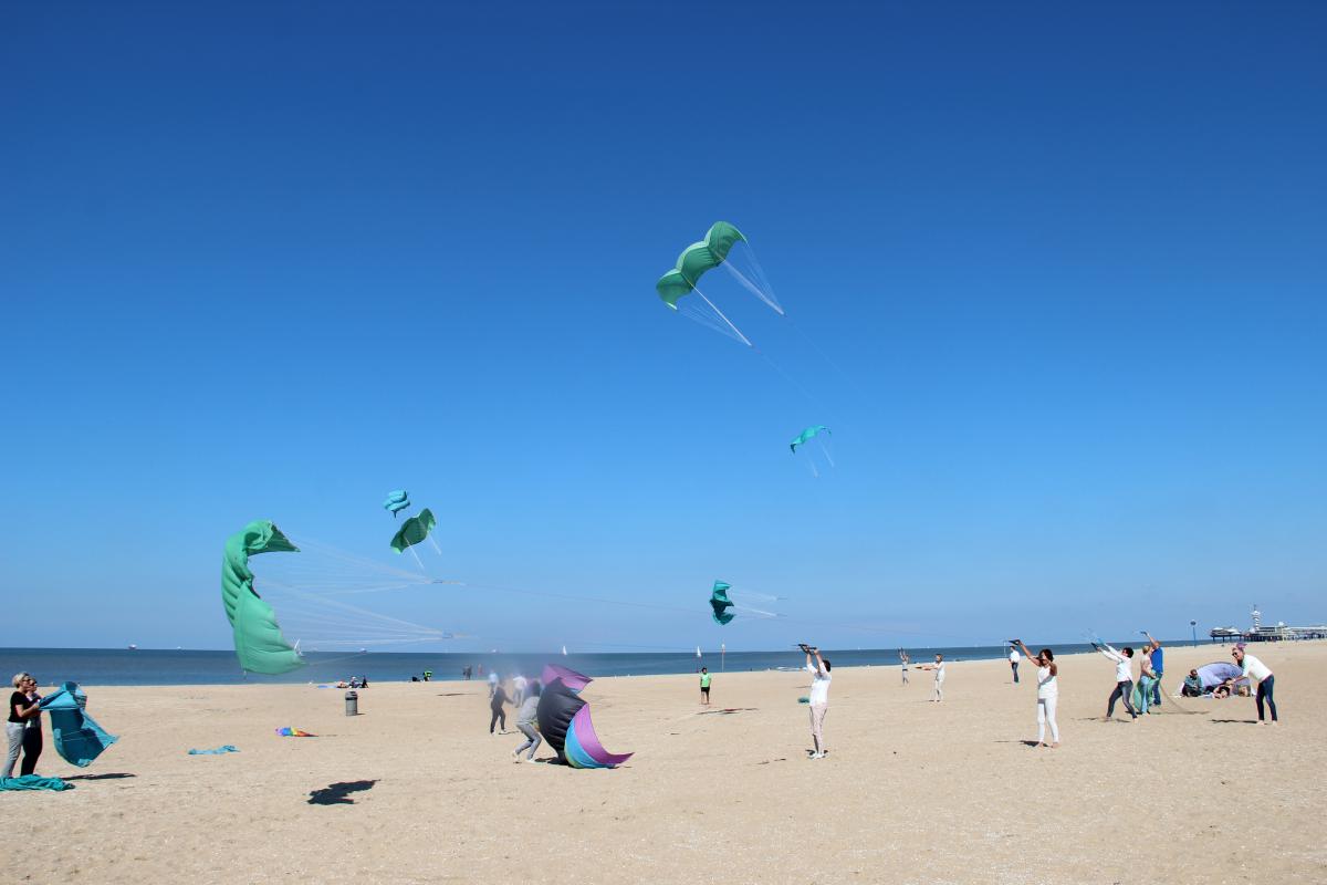 Waddeneilanden