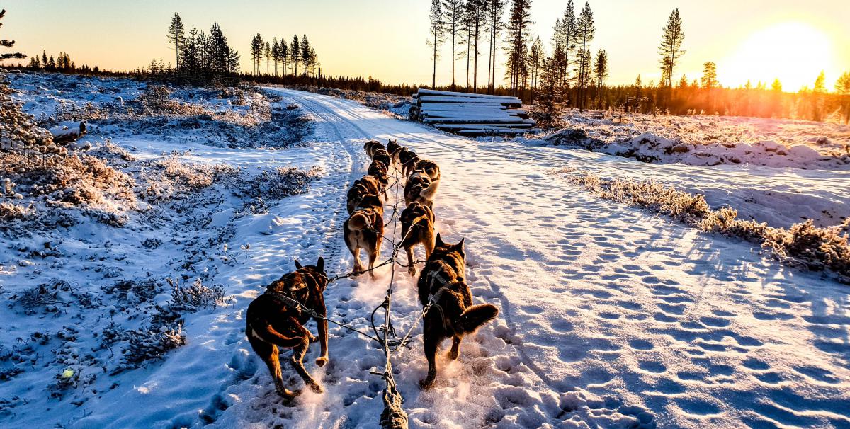 Betoverend Lapland